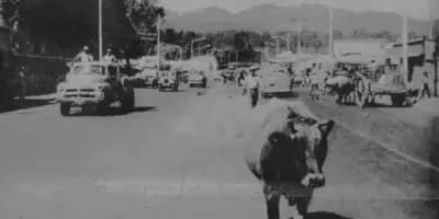 Historia de la Zona 19 capitalina: Colonia La Florida en Guatemala