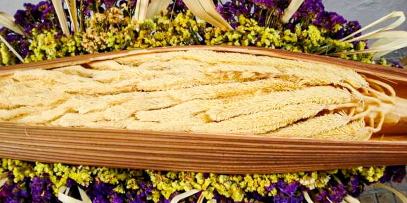 Historia del corozo en Guatemala