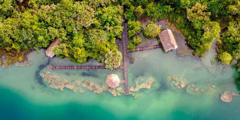 Estromatolitos y Laguna Lachuá: origen de la vida