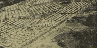 Historia de la colonia Primero de Julio en Guatemala
