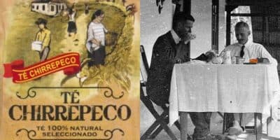 Historia del Té Chirrepeco que se cultiva en Guatemala