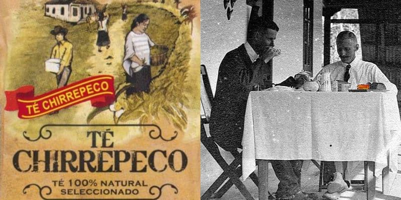 Historia del Té Chirrepeco que se cultiva en Guatemala