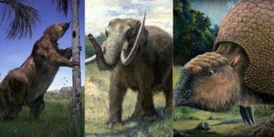 Animales prehistóricos que existieron en Guatemala