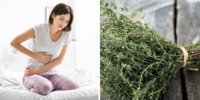 Plantas en Guatemala que curan malestares estomacales