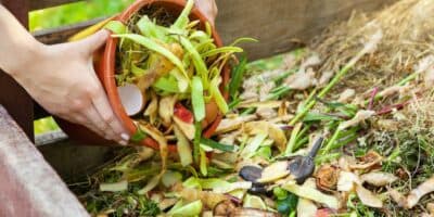 ¿Cómo hacer compost casero en Guatemala?