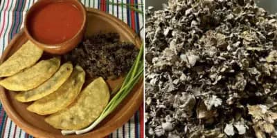 El Tziquinché en Petén