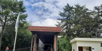 ¿Qué es un colegio profesional en Guatemala y por qué es obligatorio?