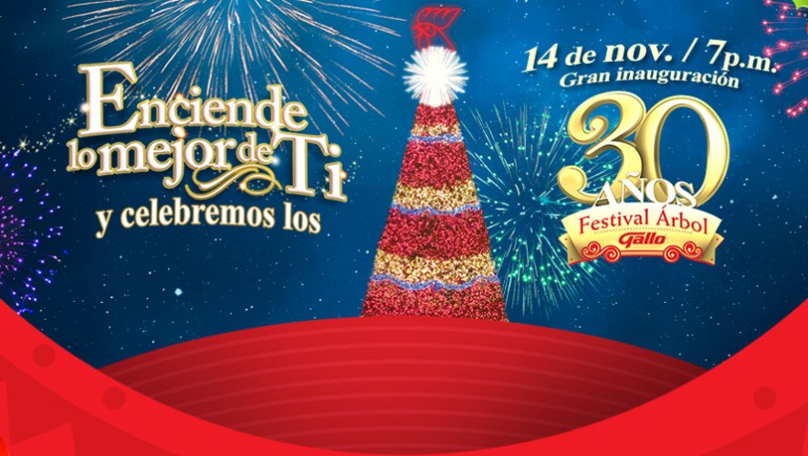 Arbol-Gallo-2