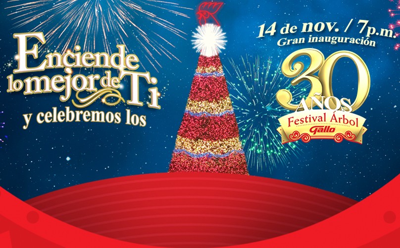 30 Festival Árbol Gallo
