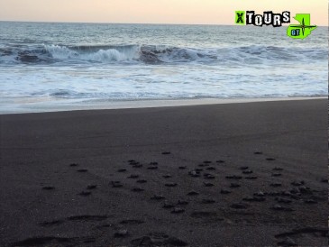 12091224_880523118684002_8381114789676799180_o