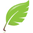 Hoja