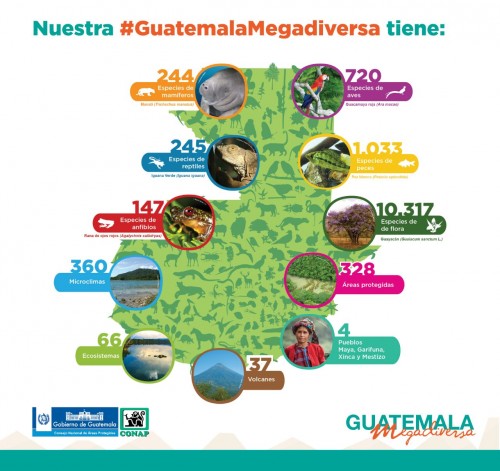 GuatemalaMegadiversaOK