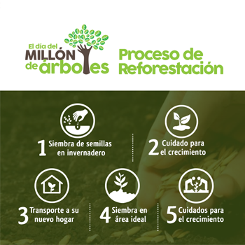 Millón