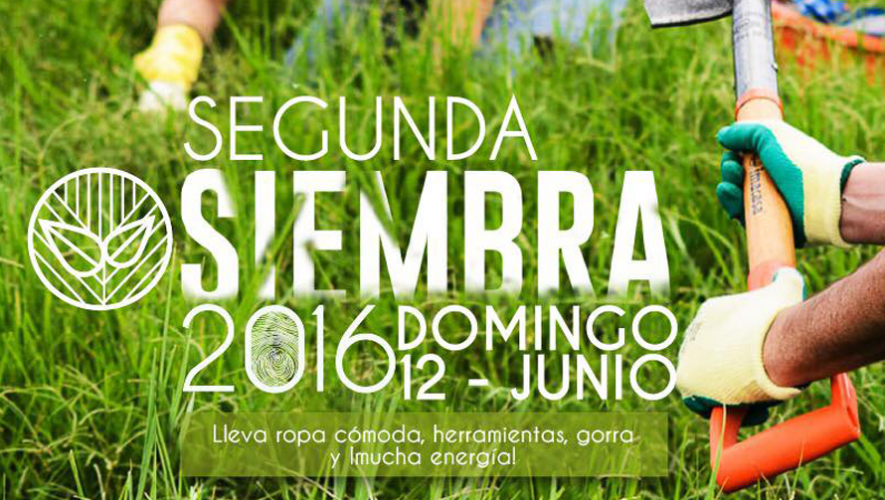 2da. siembra de Plantemos 1000 &Aacute;rboles | Junio 2016