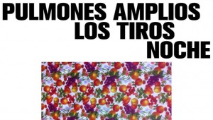 Concierto Pulmones Amplios, Los Tiros y Noche en La Mancha del Quijote | Agosto 2016