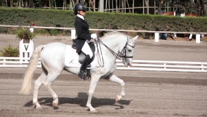 Ecuestre: FEI World Dressage Challenge|Agosto 2016