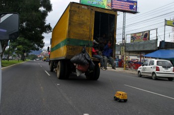 (Foto: Carlos M. Duarte)