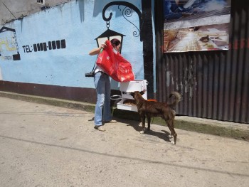 (Foto: Noticiero el Gráfico de Sacatepéquez)
