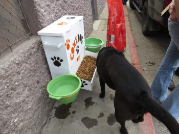 (Foto: Noticiero el Gráfico de Sacatepéquez)