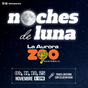 NOCHES DE LUNA_FB POST 1 copy