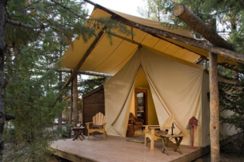 carpa-1
