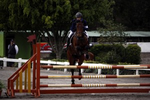 (Foto: Prensa ANEG)