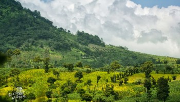 tour-del-aguacate-2