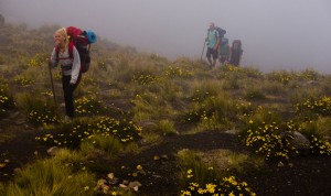 ascenso-volcan-acatenango