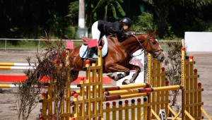 (Foto: Prensa ANEG)