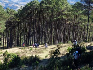 volcan-tajumulco-lavaxpedition-gt
