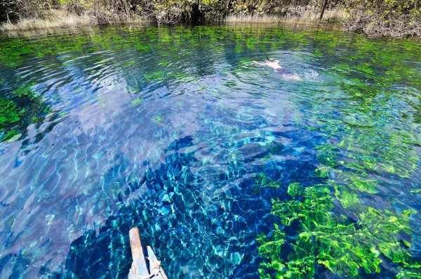 15304393_1779039259009528_6117285375200276788_o