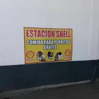 15894230_10154275825715678_6327622409715663063_n