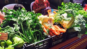 Sa&uacute;l Farmer's Market todos los domingos en L'Oster&iacute;a