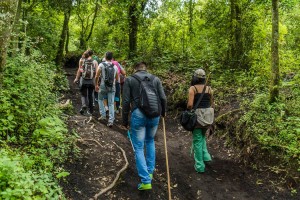 ascenso-volcan-pacaya-enero-2017