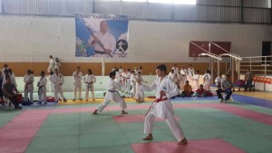 (Foto: Federación Nacional de Karate)