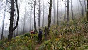 volcan-acatenango