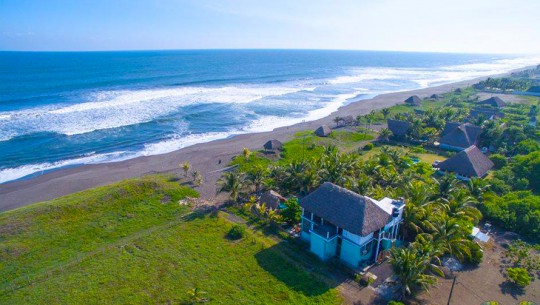 The Driftwood Surfer Beach Hostel gana reconocimiento de Trip Advisor