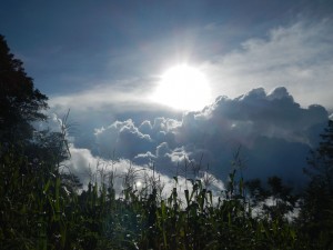 (Foto: Blog Donde el Viento me llevó)