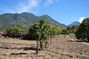 ascenso al toliman