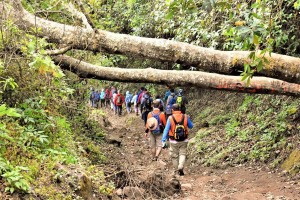 (Foto: Go2guate)