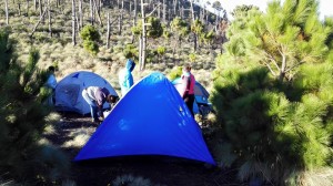 campamento volcan de fuego