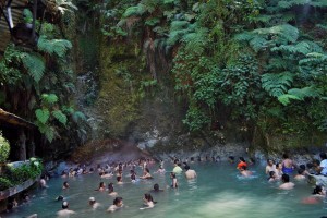 (Foto: Tito Tours & Adventures)