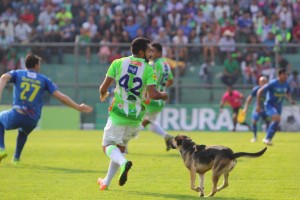 (Foto: Antigua GFC)
