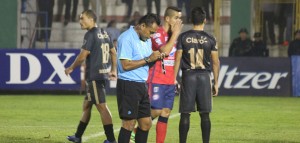 (Foto: Espacio Lanudo)