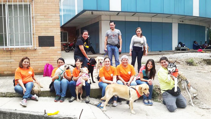 Cómo puedo inscribir a mi mascota para hacer terapia asistida en Guatemala