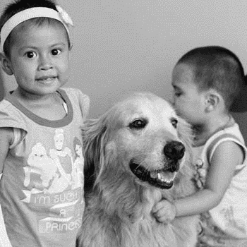 Fundación Infantil Ronald MacDonald
