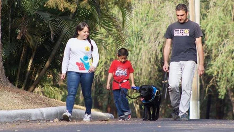 Kimono es un perro de asistencia para niños con autismo en Guatemala