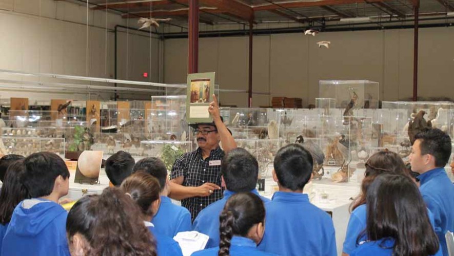 René Corado biólogo de uno de los museos de aves más grande del mundo el Western Foundation of Vertebrate Zoology