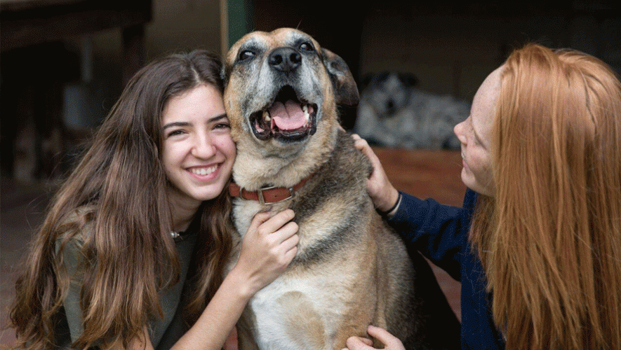Fiesta Chelas por los Chuchos, a Beneficio de Perros Callejeros| Marzo 2017