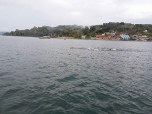 (Foto: Federación Nacional de Natación)